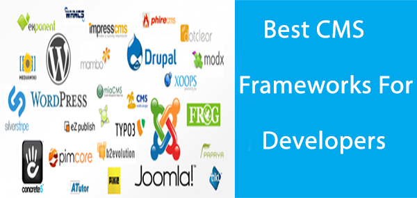best cms for web developers