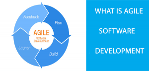 What is Agile Software Development? And The Best Agile Practices