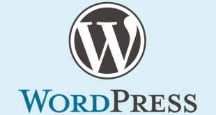 best wordpress application