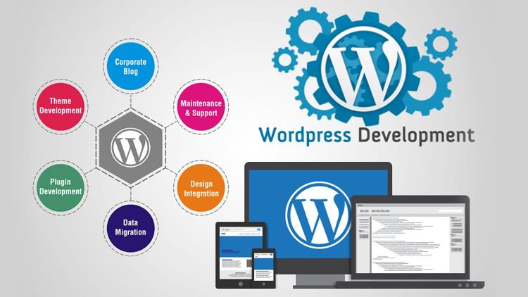 wordpress development for developers