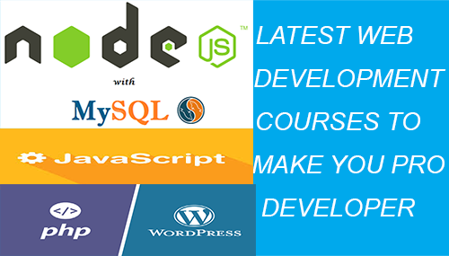 latest web development courses to become a pro developer