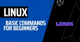 Linux basic commands for beginners